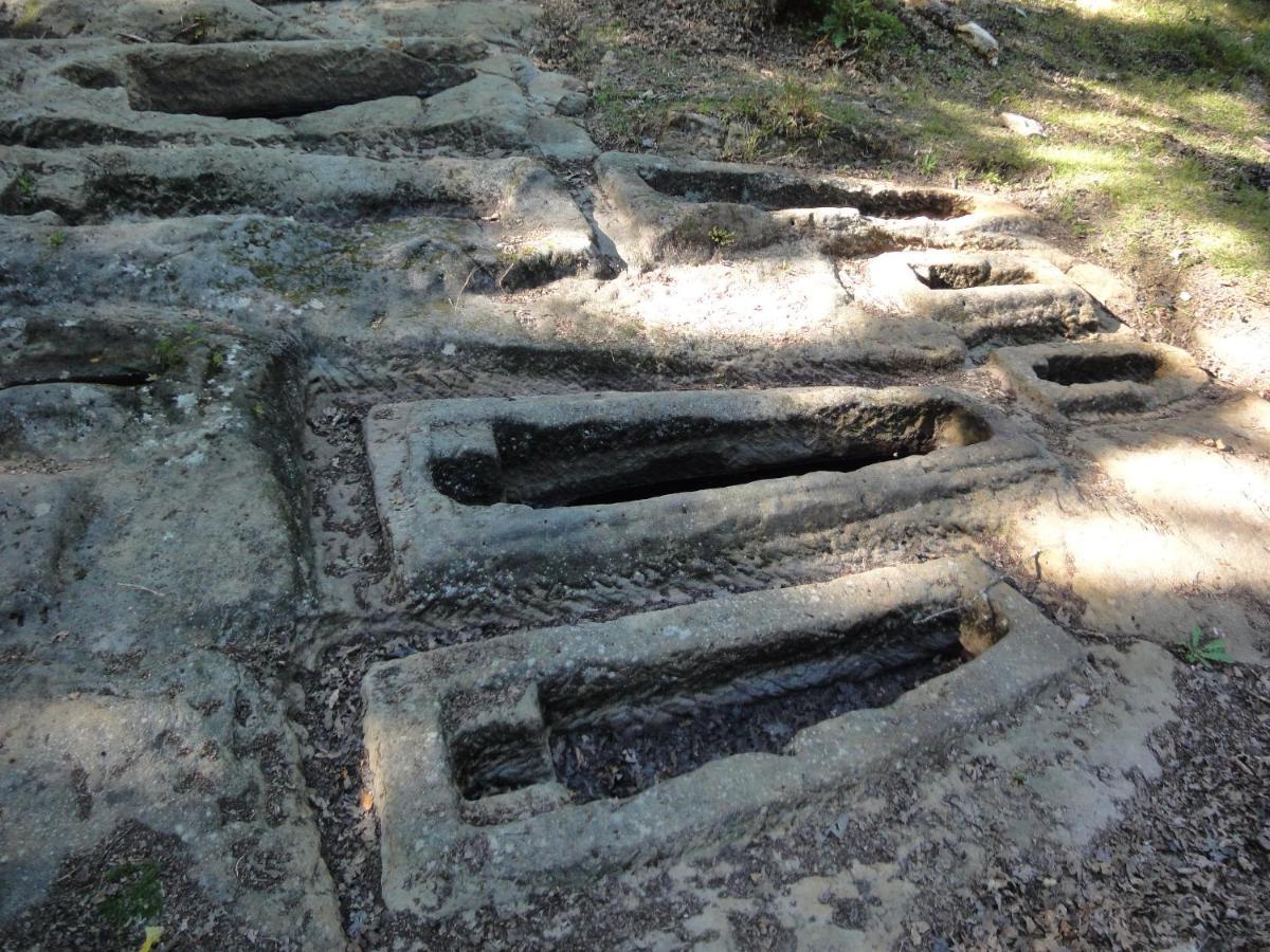 El Mirador De Casa Guarena ξενώνας Villabascones de Sotoscueva Εξωτερικό φωτογραφία